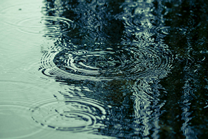 雨漏り検定士による適正診断